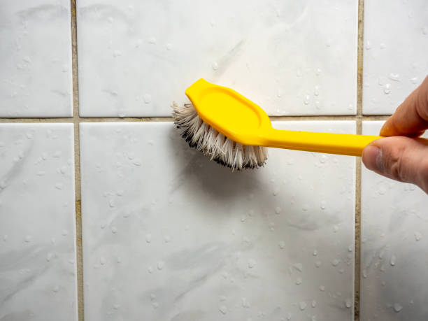 Best Mold Testing  in Weldon, CA