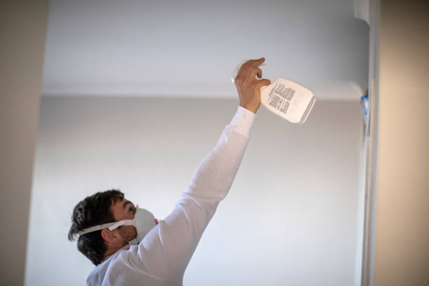 Crawl Space Mold Removal in Weldon, CA