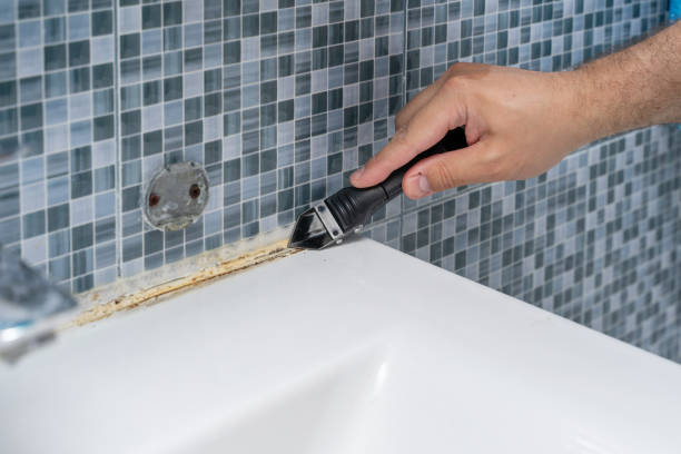 Best Mold Testing  in Weldon, CA